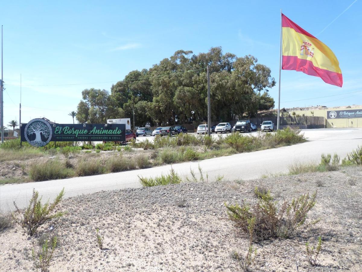 Modern Apartment Near Beach La Mata  Luaran gambar