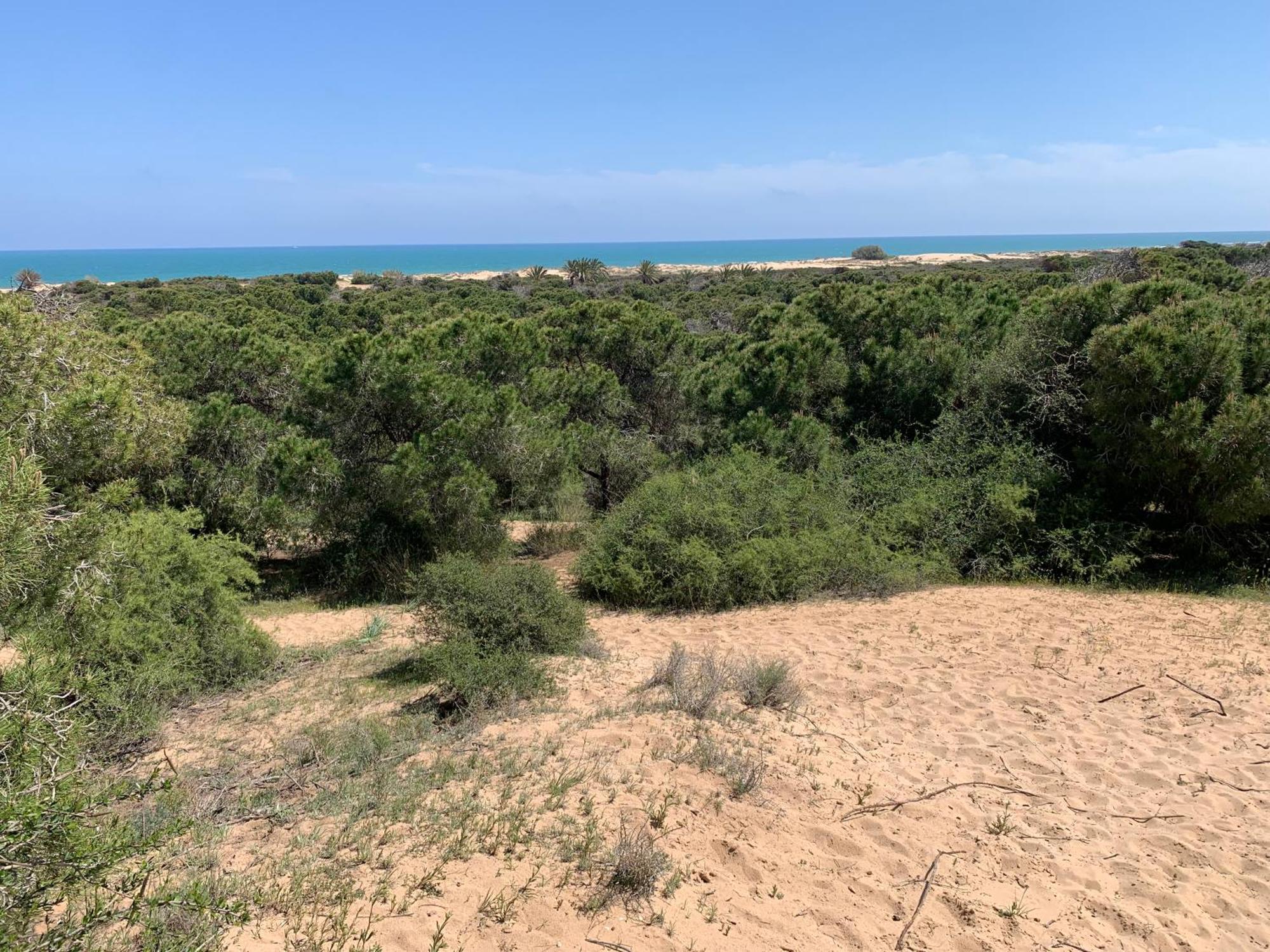 Modern Apartment Near Beach La Mata  Luaran gambar